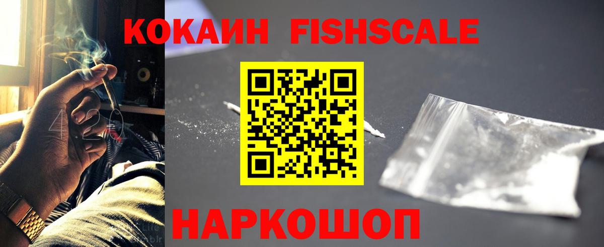 Cocaine Fish Scale  Кокаин  Черняховск  Вход с VPN 