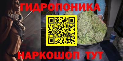 мяу мяу мука Нальчик