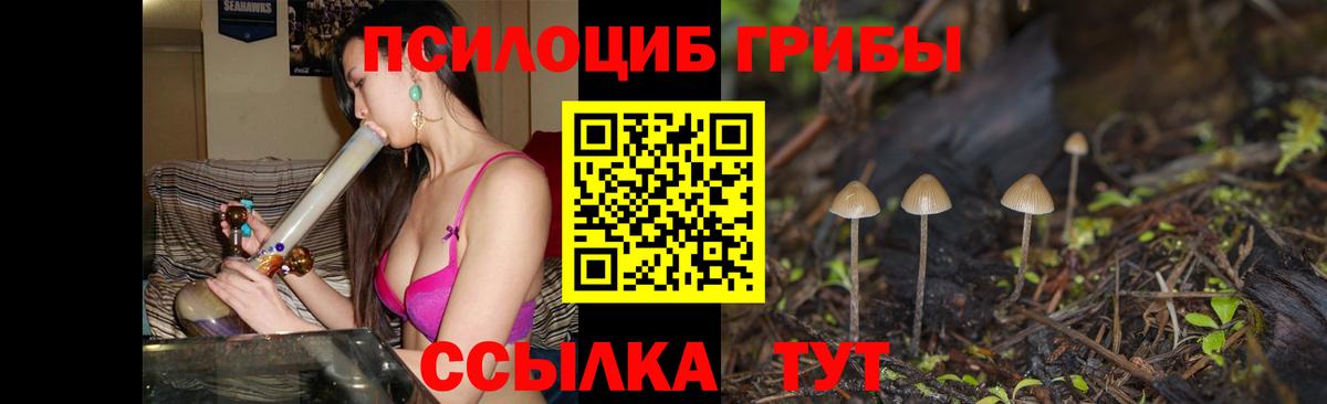 Псилоцибиновые грибы MAGIC MUSHROOMS Черняховск