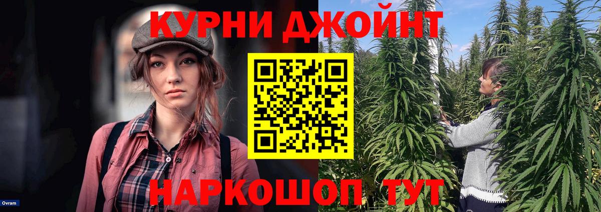 Черняховск  Канабис тримм  Вход с VPN  Шишки марихуана SATIVA & INDICA  Бошки марихуана план  Бошки Шишки THC 21% 